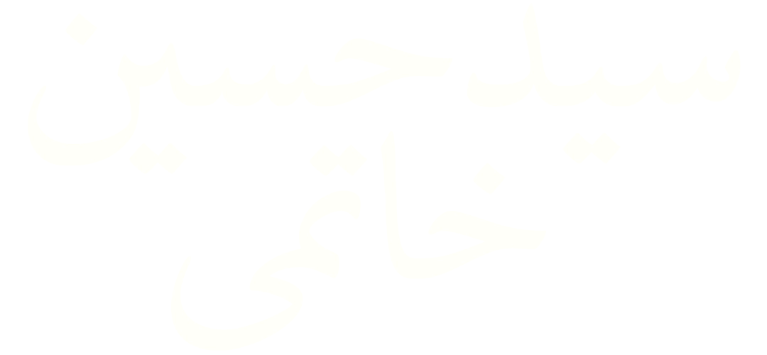 سید حسین خاتمی 2