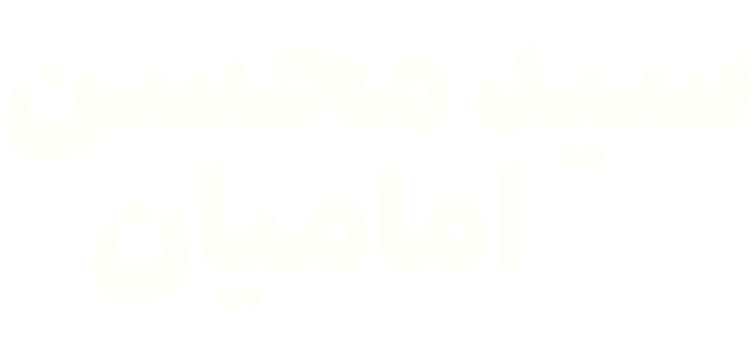 سید محسن امامیان